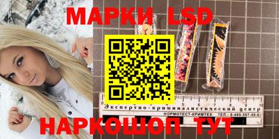 бошки Краснознаменск