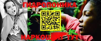амф Краснодар