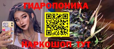 бошки Краснознаменск