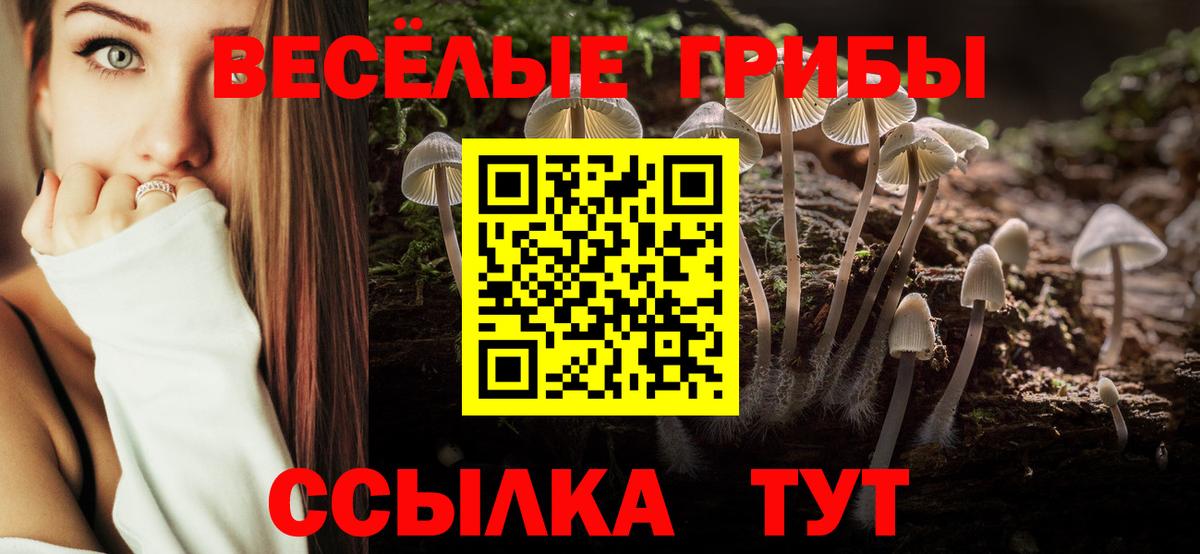 Галлюциногенные грибы Cubensis Ессентуки