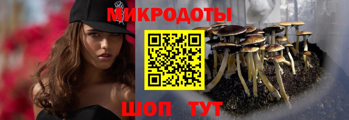 Псилоцибиновые грибы мицелий  Вход с VPN  Ессентуки 